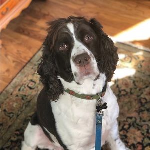 Meet your Posher, Cassandra